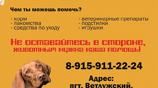 АКЦИЯ «ПОМОГАТЬ ЖИВОТНЫМ ПРОСТО»